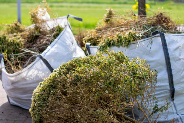 Shed Removal in North Las Vegas, NV